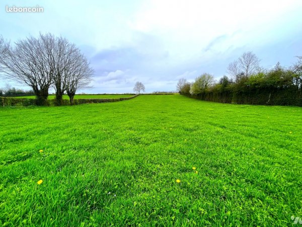 Terrain constructible Criquiers (76390) 9 000 m² 34 000 €